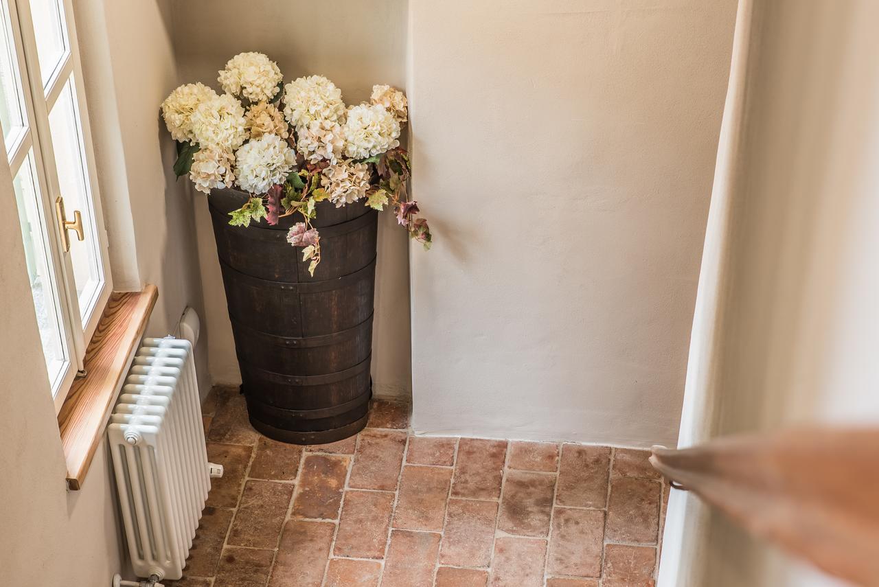Antignano  B&B Antico Tralcio מראה חיצוני תמונה